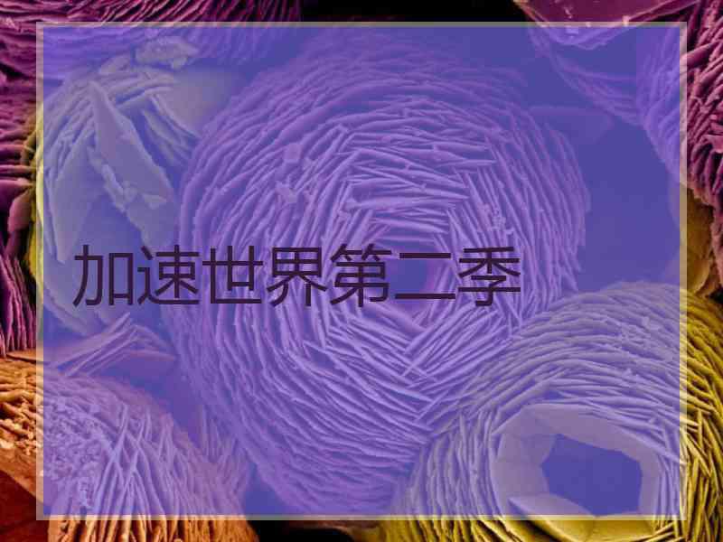 加速世界第二季