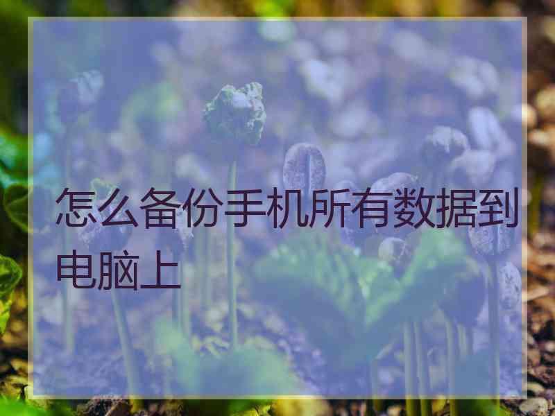 怎么备份手机所有数据到电脑上