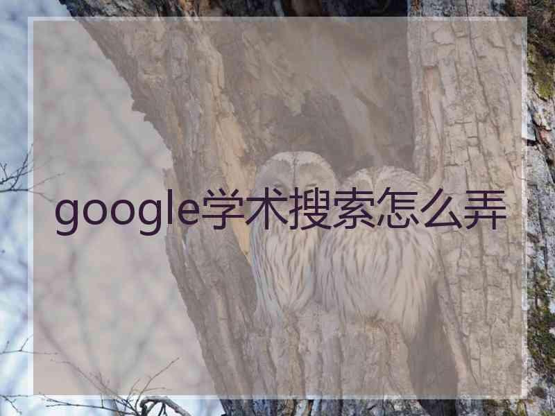 google学术搜索怎么弄