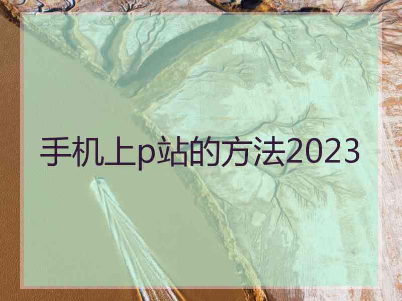 手机上p站的方法2023