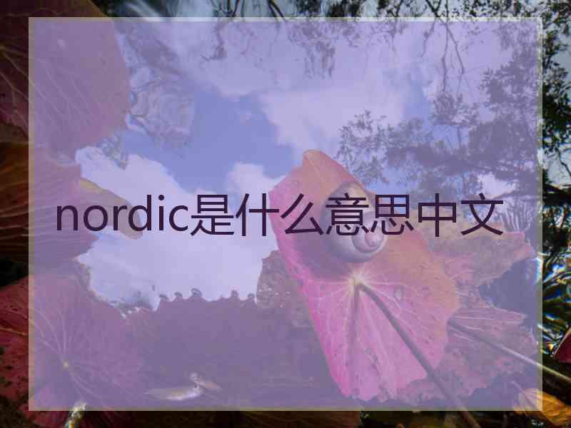 nordic是什么意思中文