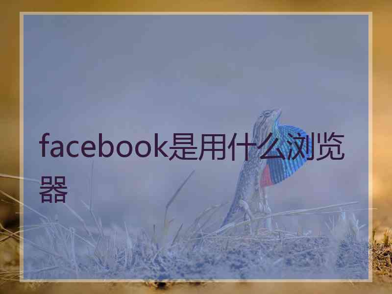 facebook是用什么浏览器