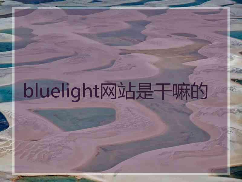 bluelight网站是干嘛的