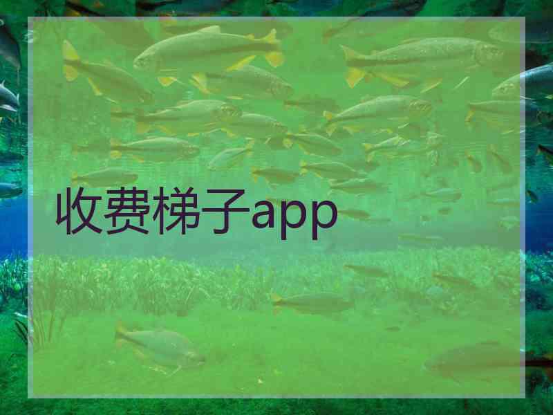 收费梯子app