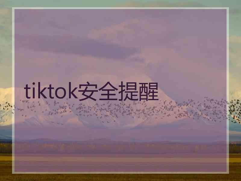 tiktok安全提醒