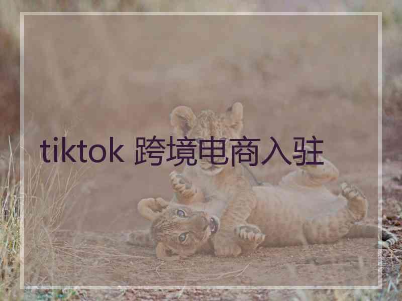 tiktok 跨境电商入驻