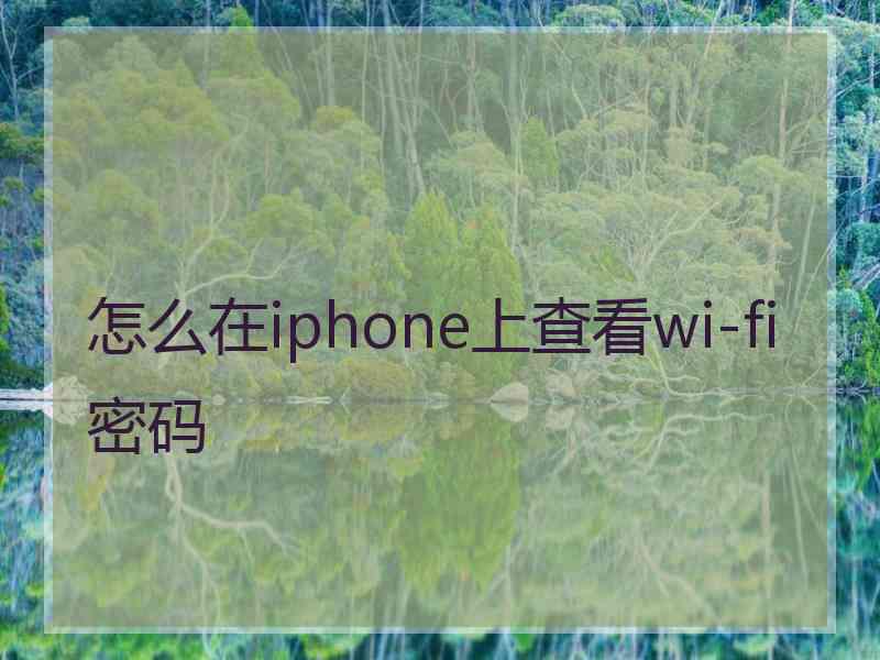 怎么在iphone上查看wi-fi密码