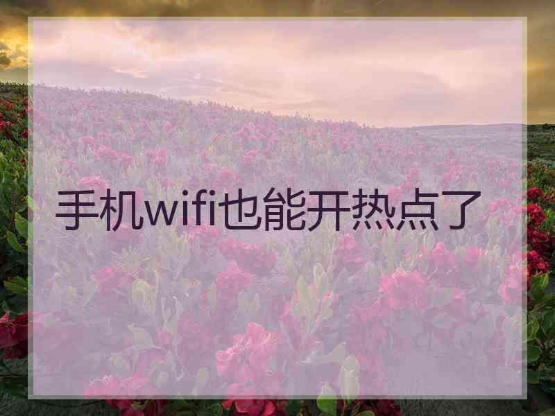 手机wifi也能开热点了