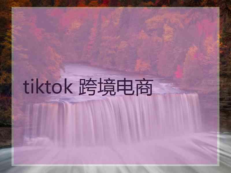 tiktok 跨境电商