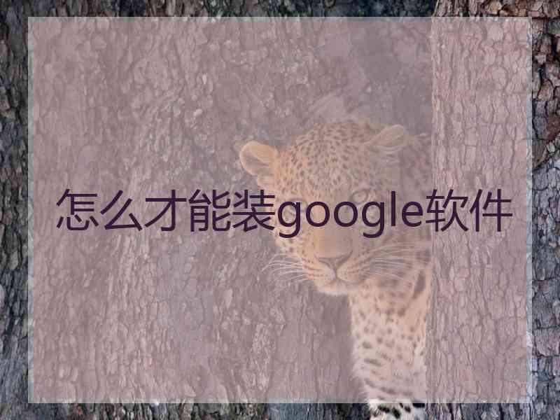 怎么才能装google软件