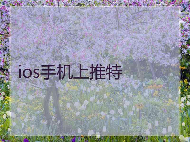 ios手机上推特