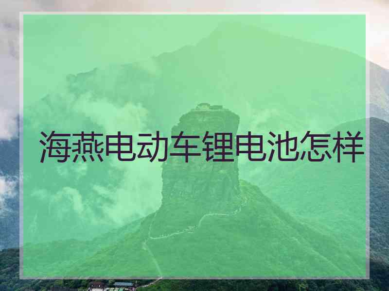 海燕电动车锂电池怎样