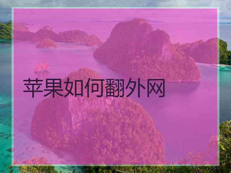 苹果如何翻外网