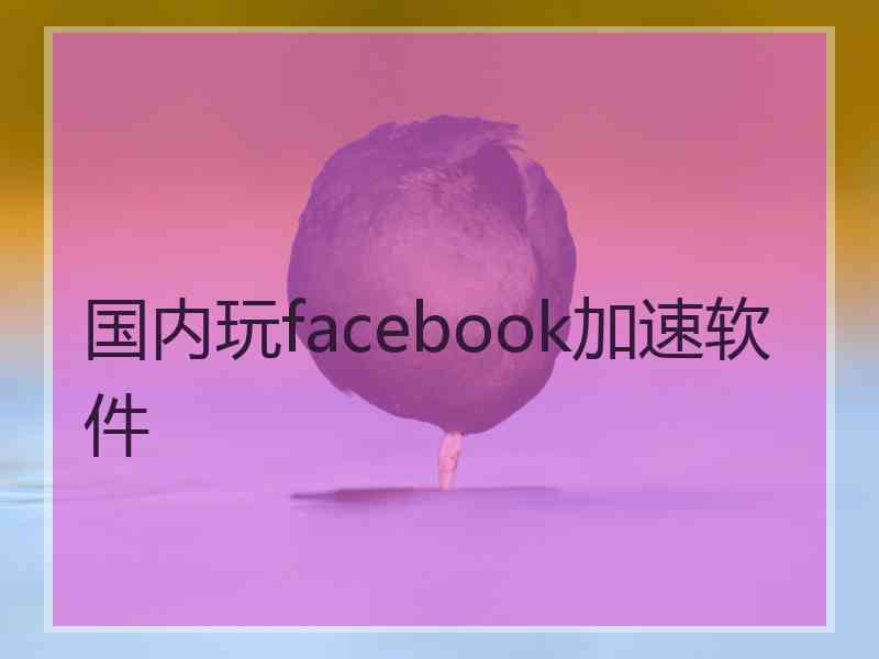 国内玩facebook加速软件