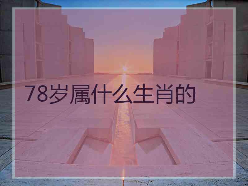 78岁属什么生肖的