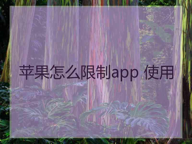 苹果怎么限制app 使用