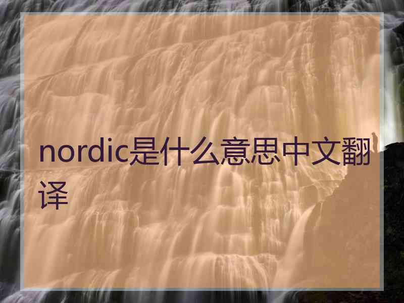 nordic是什么意思中文翻译